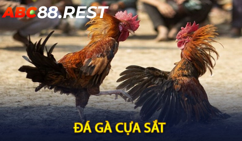 Đá Gà Cựa Sắt