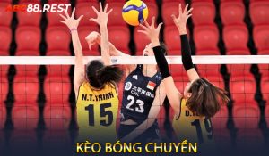 Kèo Bóng Chuyền