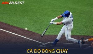 Cá Độ Bóng Chày